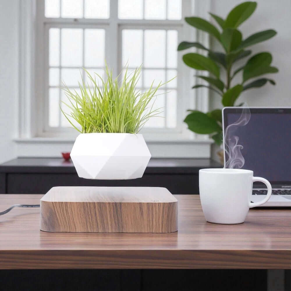 floating potted plant decor floating potted plant decor