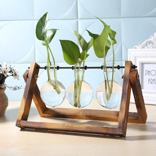glass and wood vase planter modern decor