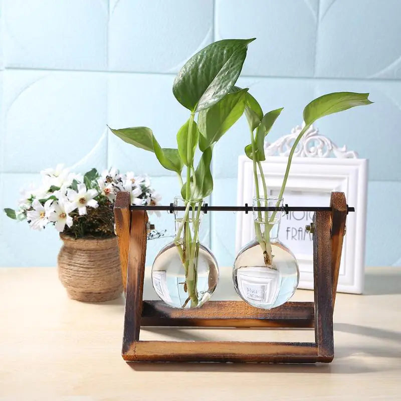 minimalist glass and wood vase planter display