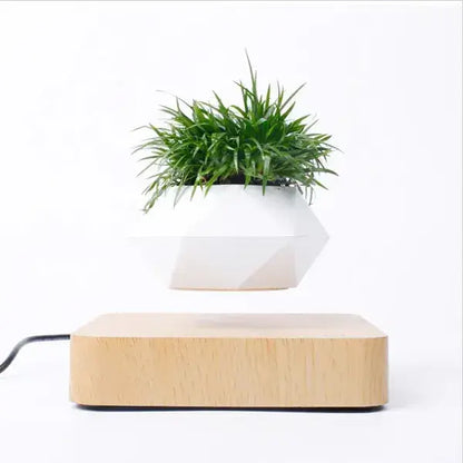 floating potted plant decor showcasing a lush green plant beautifully levitating above a wooden base.