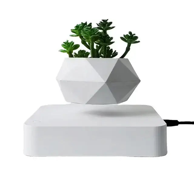floating potted plant decor with a geometric white planter levitating above a platform.