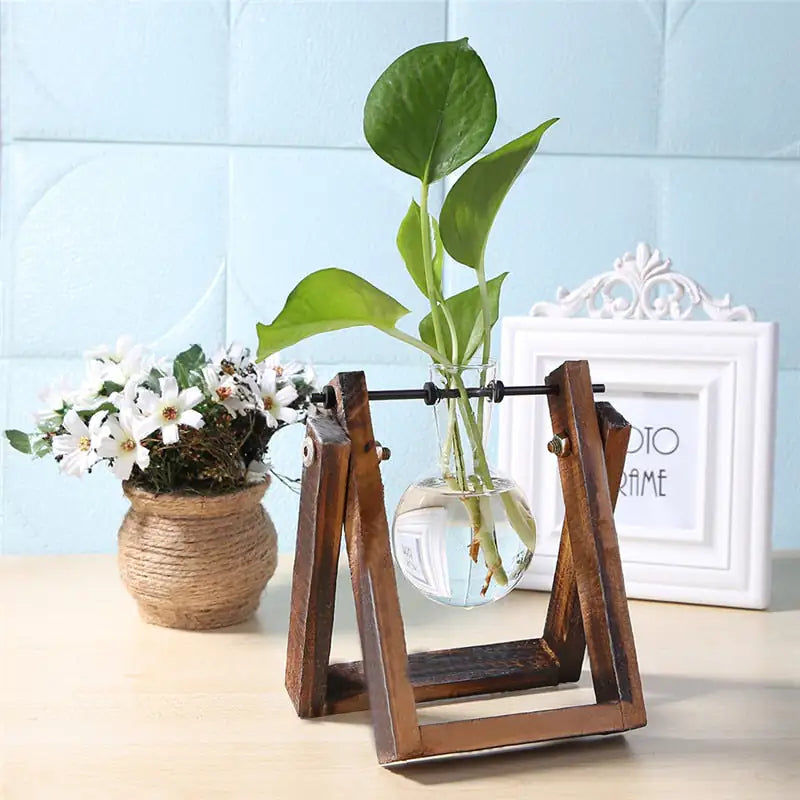 glass and wood vase planter with plants