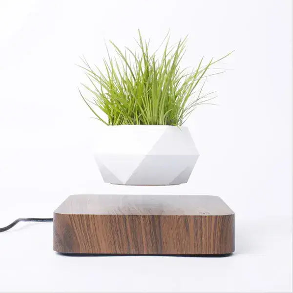 floating potted plant decor with green grass in levitating white planter above wooden base