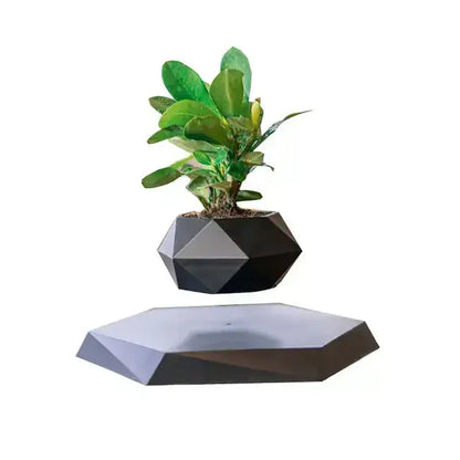 floating potted plant decor featuring a geometric design with a plant seemingly levitating above its base