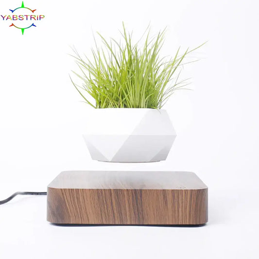 Floating potted plant decor on desk
