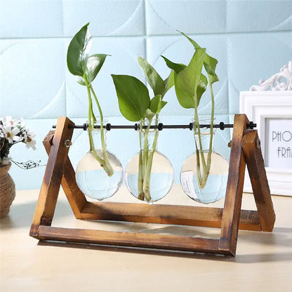 close-up of glass and wood vase planter design
